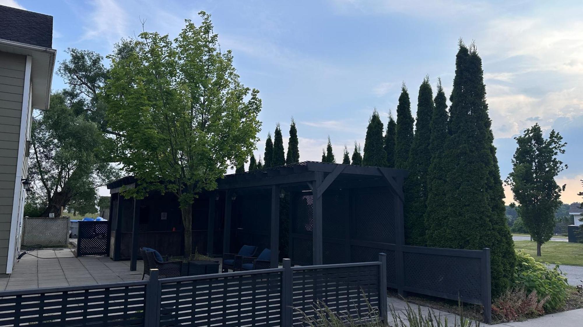 Stone Willow Inn Saint Marys Екстериор снимка